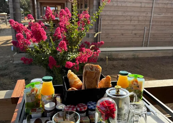 木屋 Les De Tesa 2