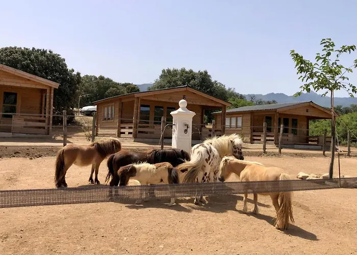 木屋 Les De Tesa 2 *